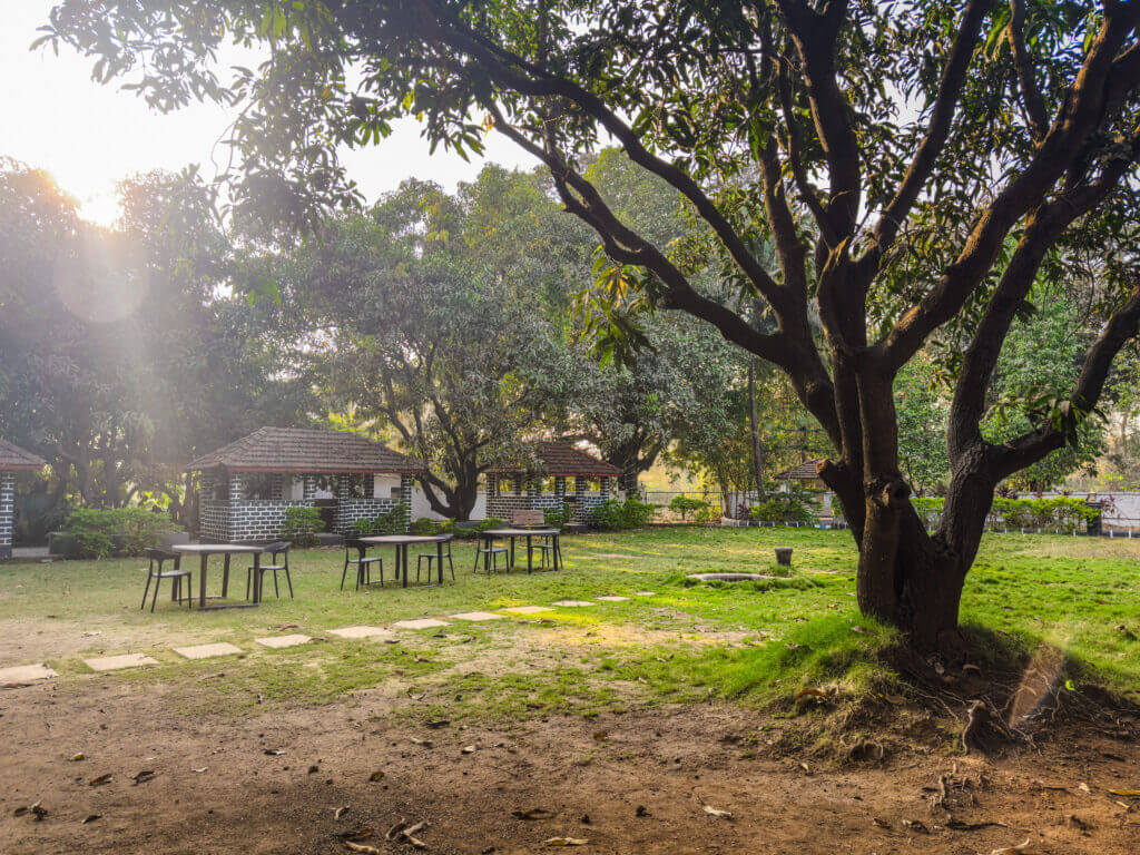 The tree-lined lawn and garden at NB Nature Stay