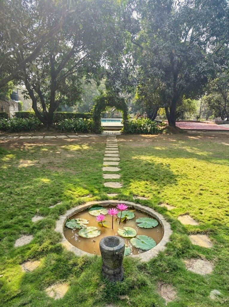 The garden pond and stepping-stone path at NB Nature Stay